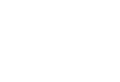 Perfacilis